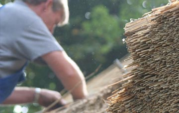 professional Lletty Brongu thatchers